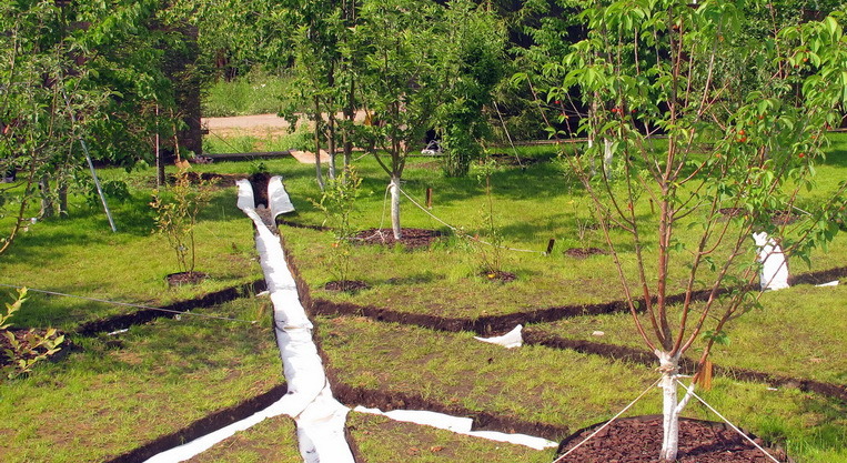 Осушение территории посредством елочной дренажной конструкции