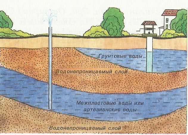 Окончательно прояснить ситуацию поможет замер воды в близлежащем колодце