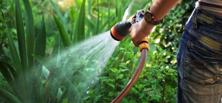 В дачных условиях наличие водопровода позволяет решить массу проблем, в том числе и с поливом сада и огорода