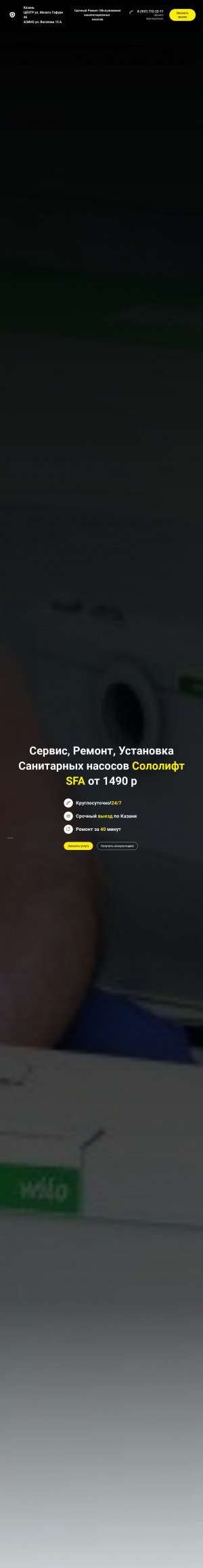Предпросмотр для teplo-kzn.ru — Чистка Ремонт Сололифт Grundfos Sfa с выездом
