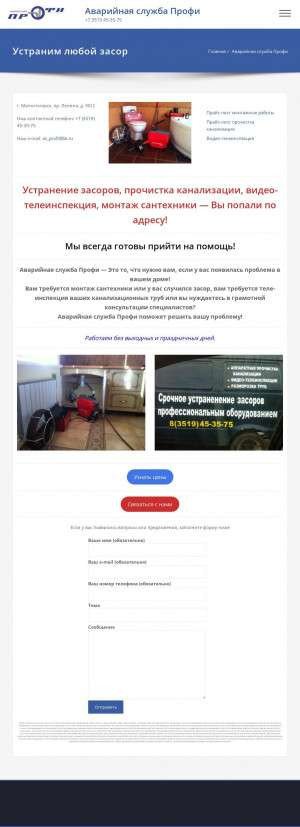 Предпросмотр для profi-mgn.ru — Профи